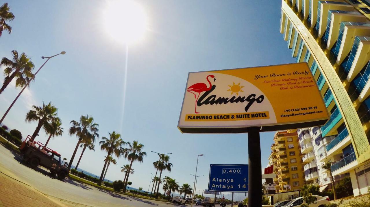 Flamingo Beach & Suite マフムトラール エクステリア 写真